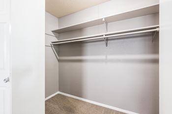 Empty white closet with shelves and a carpeted floor.